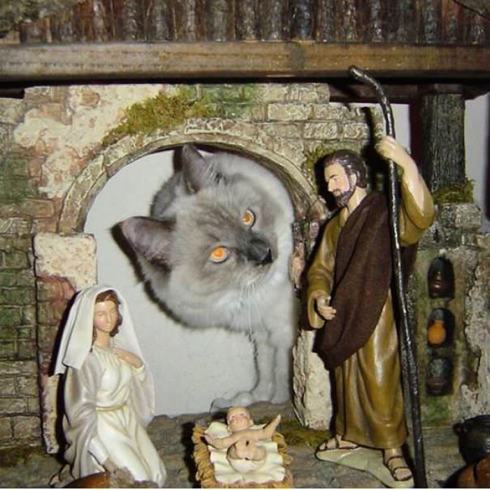 The birth of Christ wasn't the biggest surprise in this nativity!