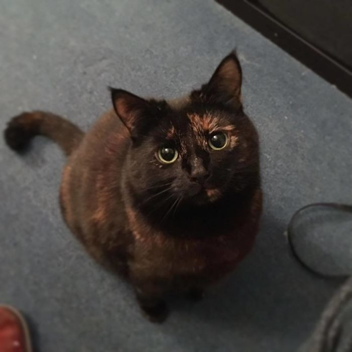 "She knew she was doing something right now."