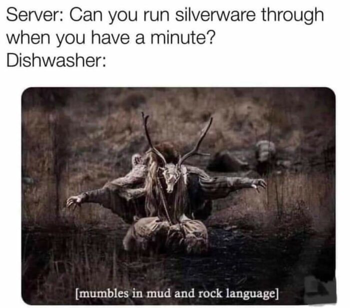 40. Dishwasher Language