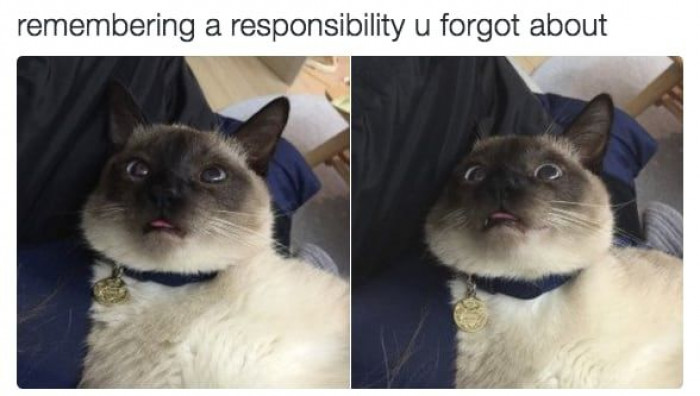 2. Oh Lord, what have I done?