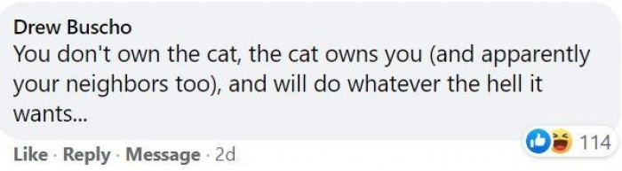 14. The sooner you accept the fact that the cat owns you, the better.
