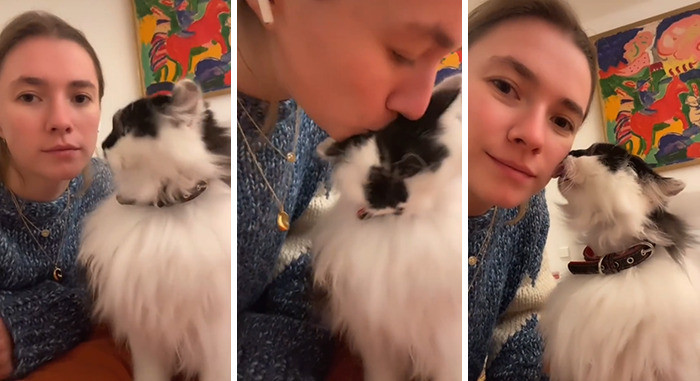 This cat licked back!