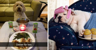 These Humans Are Completely Extra When It Comes To Their Doggos