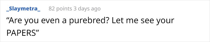2. "You don't look purebred."