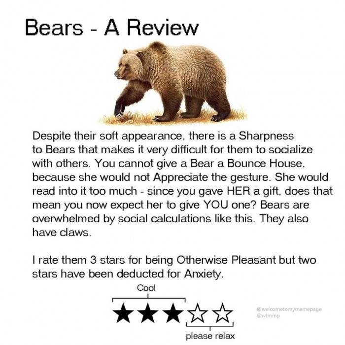 Bears - The anxiety thing is a problem