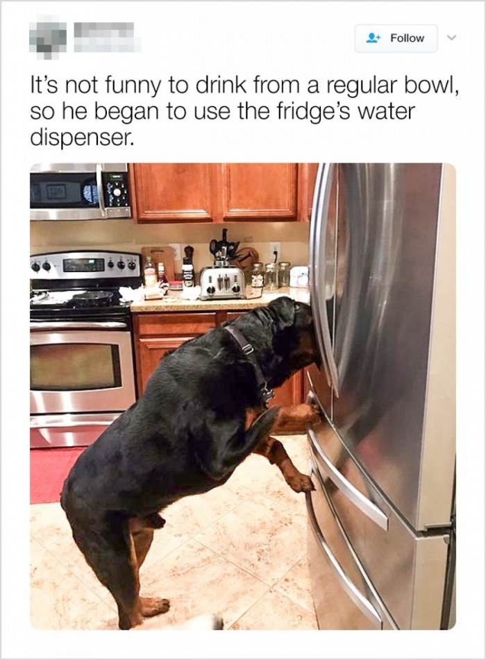 The water from the water dispenser tastes better