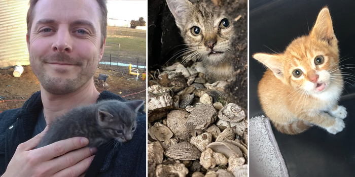 Cat Man Chris with Emmy and Ginny.