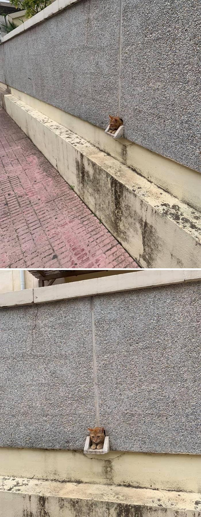 "Spotted In The Building In Front Of My Job!"