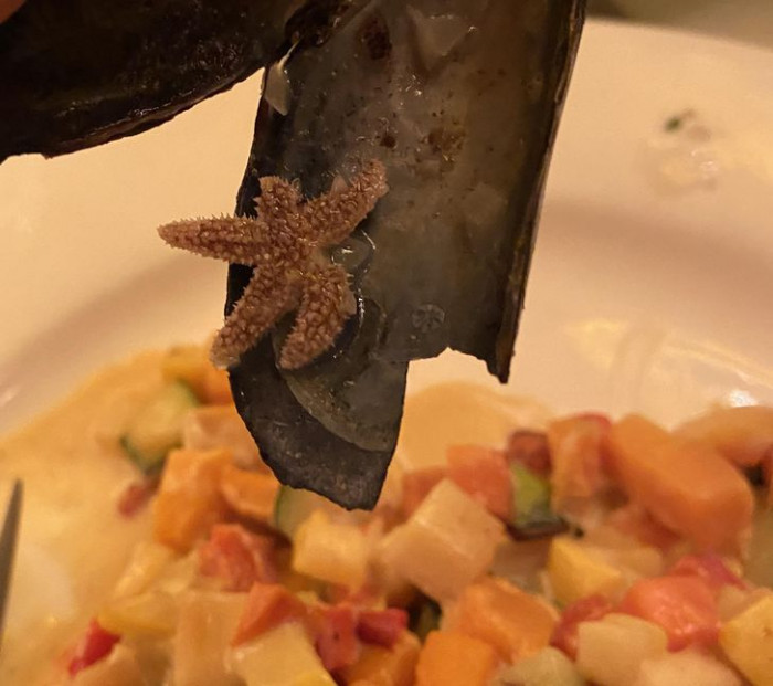 5. Girl finds adorable mini starfish on a mussel shell but wait, was it cooked with it?