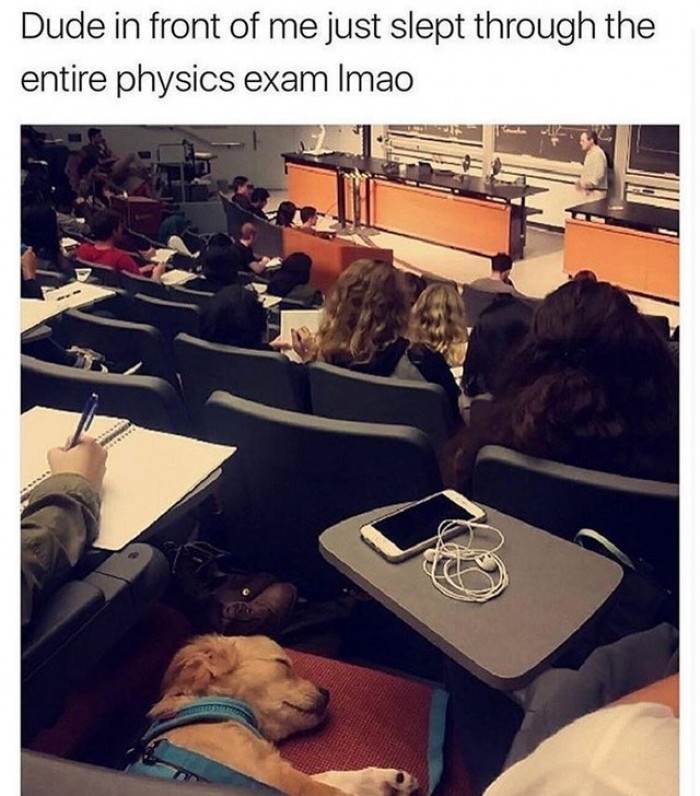 "I go where you go."