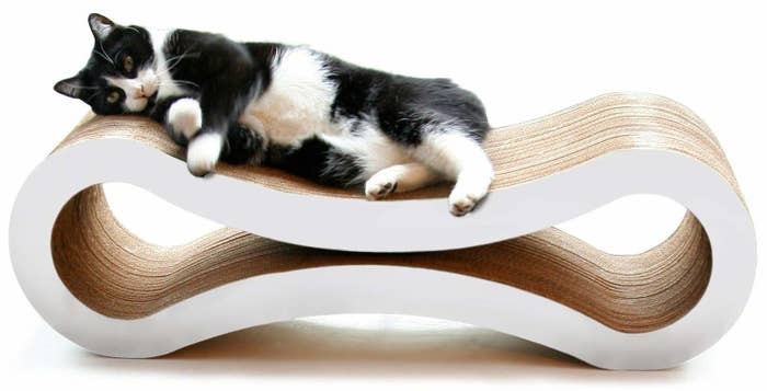14. Cat Scratcher Lounge