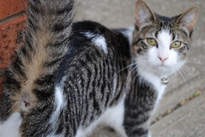 7. “All housemates must gaze upon my anus daily.” – postingstuff