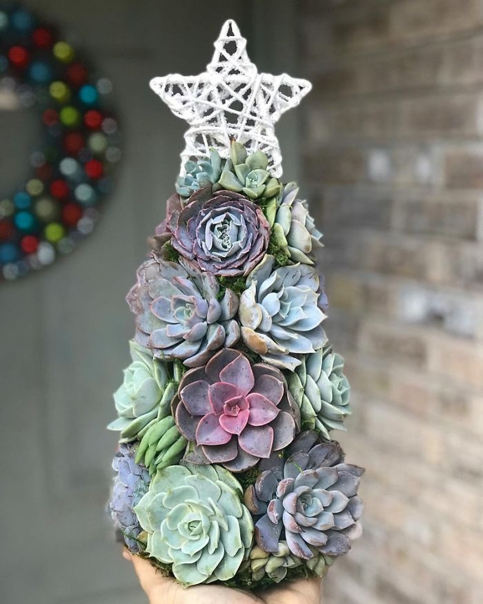 This one, Aurora Succulent Tree, is “adorned with nearly 25 gorgeous Echeverias.”