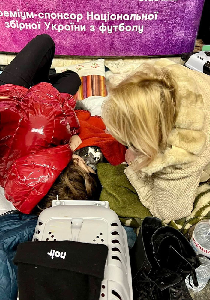 #29 Spot the little one