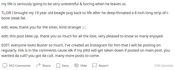 Buster really brings happiness to his owner.