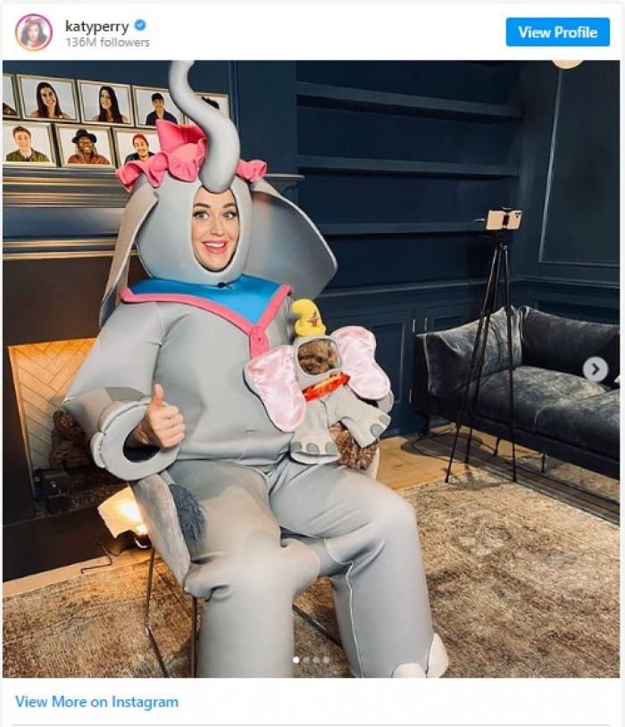 3. Katy Perry and her dog wearing matching costumes.