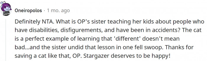 But other important issues are at stake here. Namely, how are these kids supposed to react to disabled people?