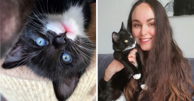 Introducing Sammy Meowington, a Photogenic Cat Whose Name Is Inspired by the Drama Series Supernatural