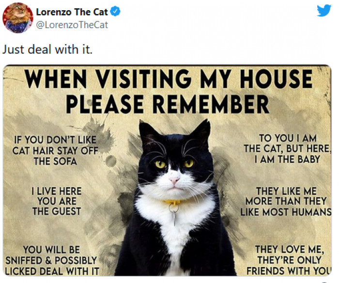 29. This cat's house rules must be obeyed... or else!