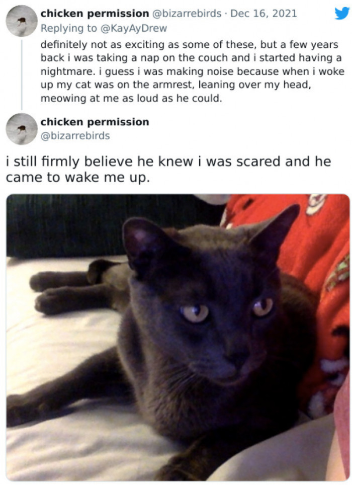 #25 “He came to wake me up.”