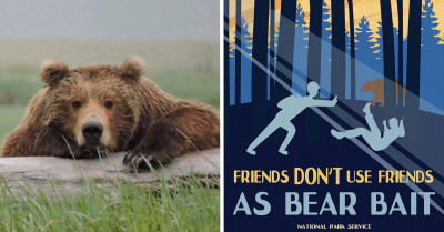 National Park Service Hired The Perfect Social Media Person Who Created A Hilarious PSA On What To Do In Case Of A Bear Encounter