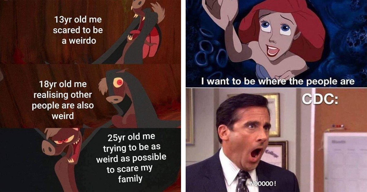 Undeniably Humorous Disney Memes That Might Make You Think