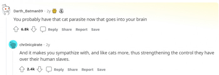 A cat parasite? Has anyone heard of this?