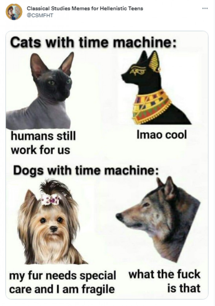 12. Cats with time machines vs. Dogs with time machines.