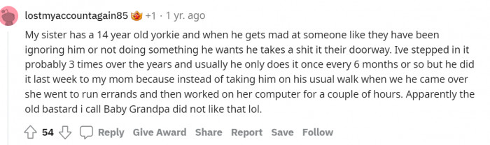 #9 When you step on it, you'll know why.