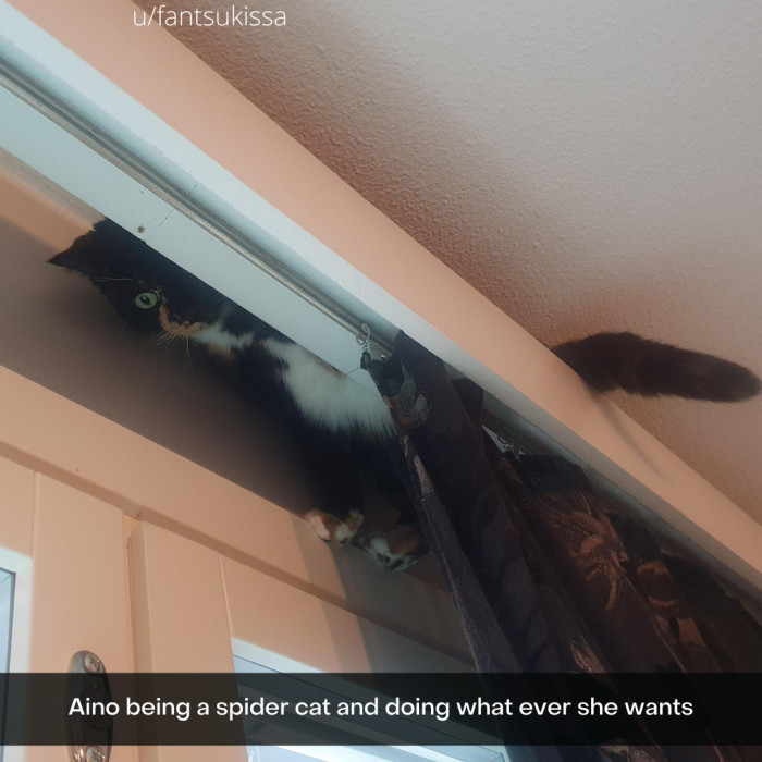 7. This is the sort of skill you have to respect.