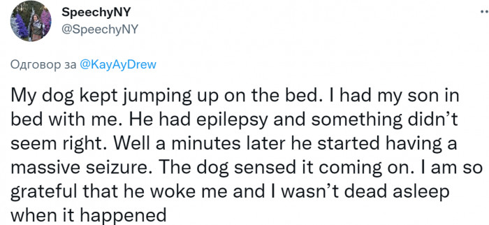 #15 “The dog sensed it coming.”