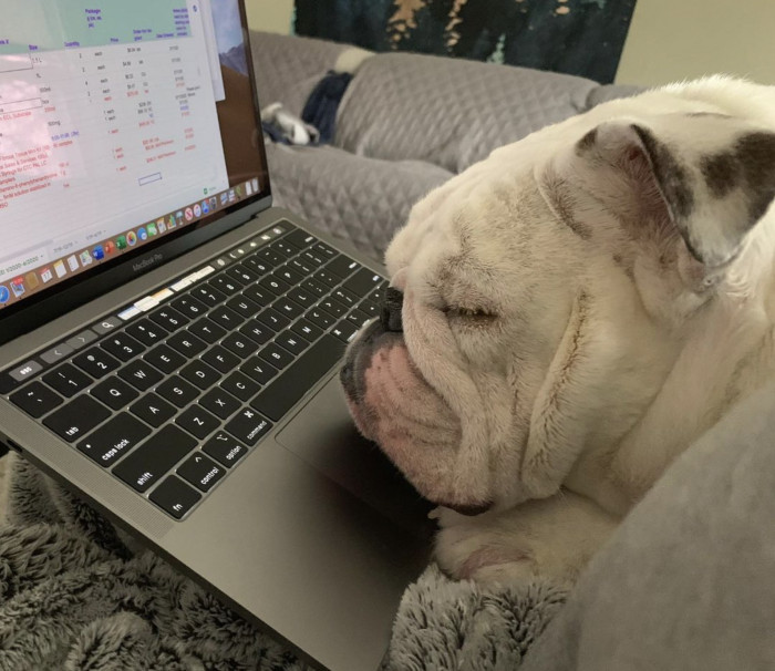 He is such a great multitasker!