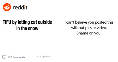 Woman Thought Her Cat Hated The Snow But Turns Out Her Cat Actually Loves It