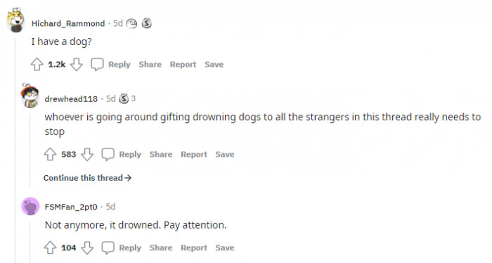3. Everyone has dogs now, there's no turning back