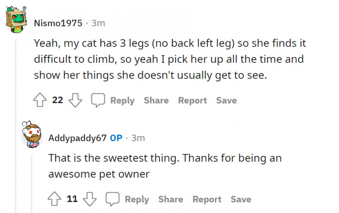 This is so sweet. Give this man a medal!