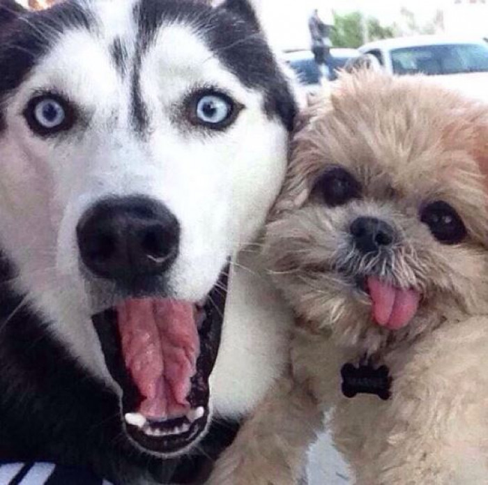 12. Take a look at this adorable duo!