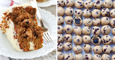 This Series of Hilarious Photos Reimagines Adorable Dogs as Yummy Bites