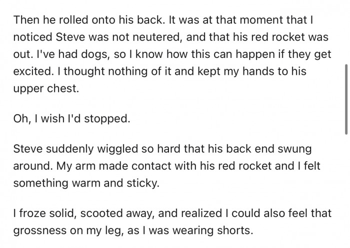 Story blog layout with text about Steve and a happy ending