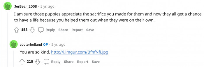 His kindness will truly go a long way for all the dogs.