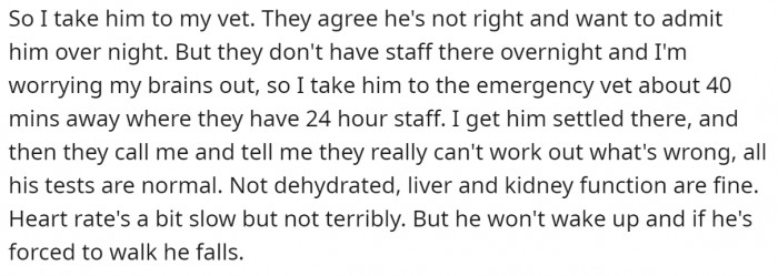 The OP takes Leo to the vet