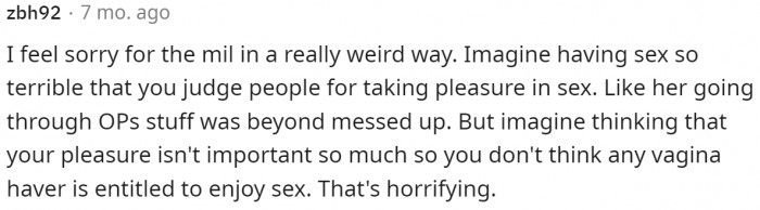 There's actually a Redditor who feels sympathy for the mother-in-law.