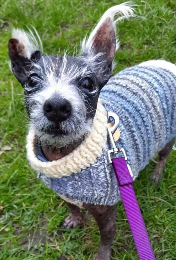 “We know it is going to be a struggle to find a home that will meet all of Jay’s needs, and we understand that the cost of his ongoing care may deter people,” Cole said.