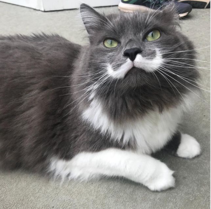 6. That is some mustache!