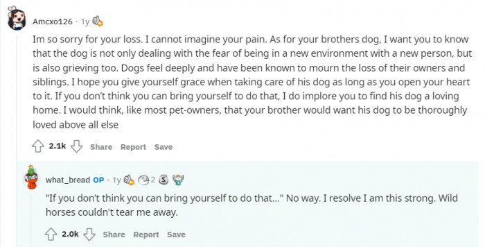 He is indeed up for the challenge.