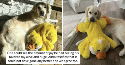 Man Gives His Dog A Huge Surprise By Bringing His Favorite Toy To Life, And His Reaction Is Priceless