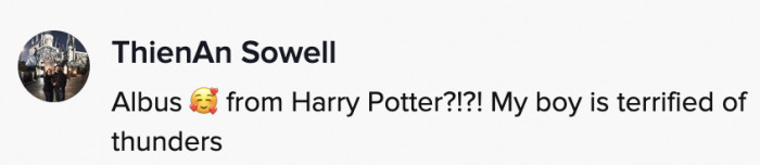 Facing He-Who-Must-Not-Be-Named is not a problem, but thunder? Boy, it sends shivers down the spine.