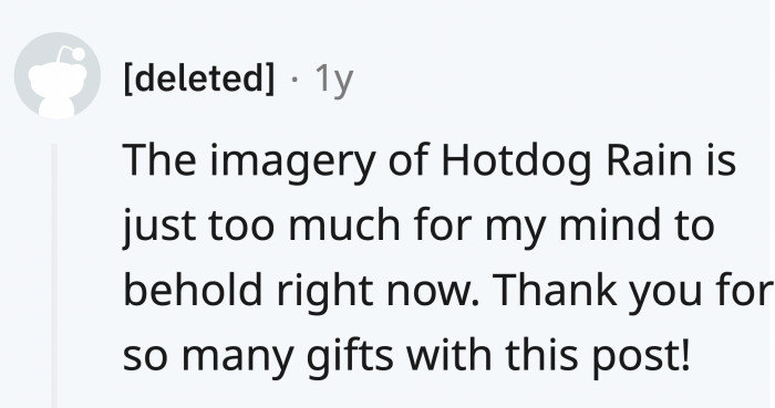 Today's forecast includes hotdog rain with the chances of zoomies