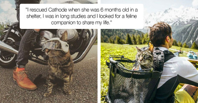 Adventurous Cat Goes Literally Everywhere With Her Thrill-Seeking Owner