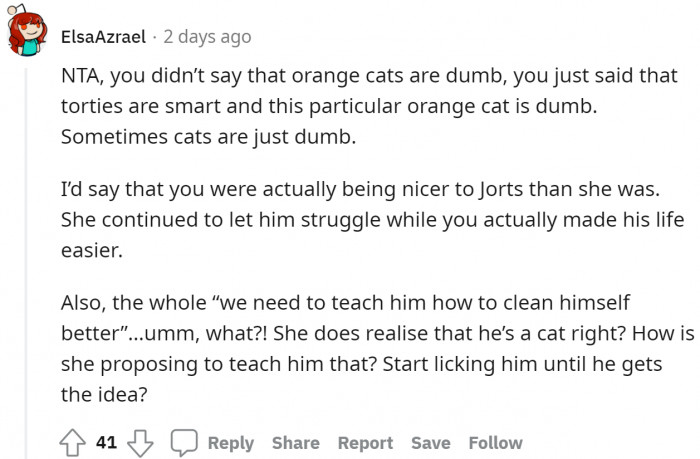 OP just stated a trait and the color of the cat.
