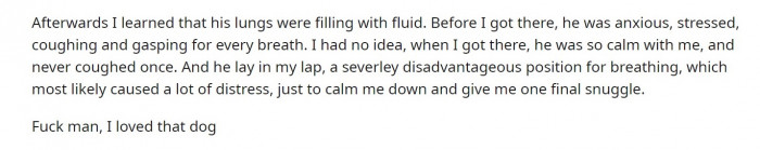 The user explained how their beloved dog had to be put to sleep suddenly after becoming extremely ill.